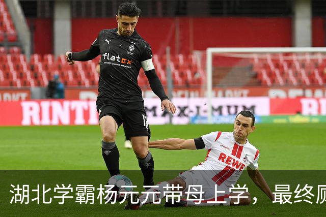 湖北学霸杨元元带母上学，最终厕所自缢身亡，活生生被母亲吸干血